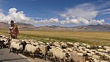 Tibeter mit seiner Ziegenherde - Zentral-Tibet: Land und Leute