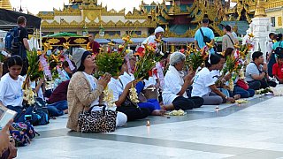Betende Pilger vor der Shwedagon Pagode in Yangon - Zentral-Myanmar: Land und Leute
