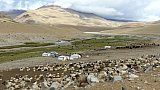 Nomadenzelte und Pashmina-Ziegen - Ladakh: Land-und-Leute