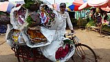 Anlieferung von Blumen f&uuml;r den Gro&szlig;markt - Zentral-Myanmar: Land und Leute