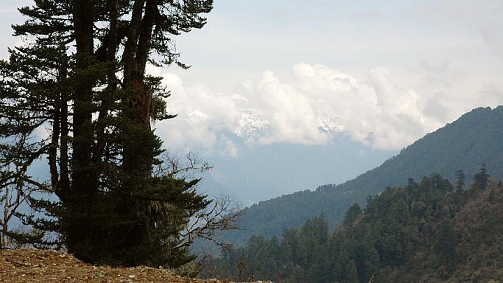 Blick vom Lowa La-Pass in Bhutan - Zentral-Bhutan: Landschaft