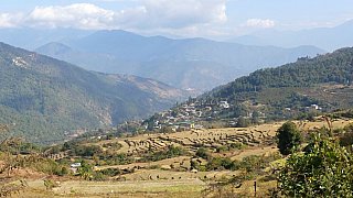 Auf der Fahrt von Thimphu nach Punakha - Thimphu-Punakha: Landschaft