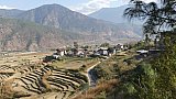Blick auf das Dorf Lobesa kurz vor Punakha - Thimphu-Punakha: Landschaft