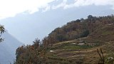 Geh&ouml;fft auf dem Weg von Punakha nach Gasa - Thimphu-Punakha: Landschaft