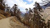 Piste in Richtung Norden - Thimphu-Punakha: Laya Trekking