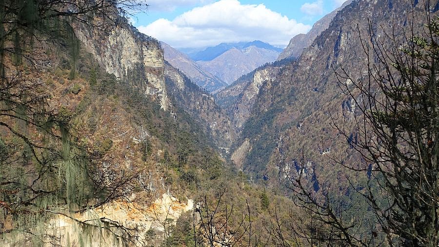 Das Tal in Richtung Laya - Thimphu-Punakha: Laya Trekking
