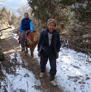 Freundlicher Helfer - Thimphu-Punakha: Laya Trekking