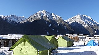Camp in Laya - Thimphu-Punakha: Laya Trekking