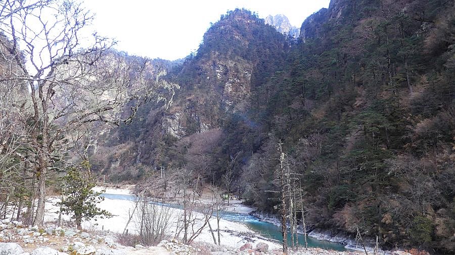 Weg hinauf nach Koina - Thimphu-Punakha: Laya Trekking