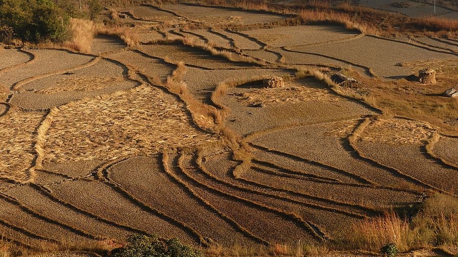 Blick &uuml;ber Felder im Punakha-Tal - Thimphu-Punakha: Landschaft