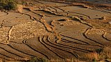 Blick &uuml;ber Felder im Punakha-Tal - Thimphu-Punakha: Landschaft