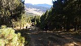 Wanderweg vom Shertang La Pass hinunter ins Ura-Tal - Zentral-Bhutan: Landschaft