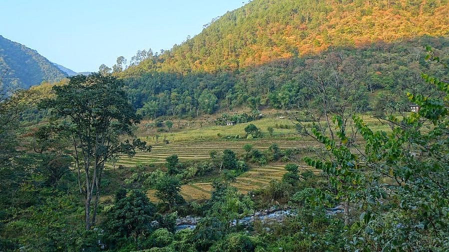 Terasssenfelder an den Bergh&auml;ngen von Yong Khola - Ost-Bhutan: Landschaft