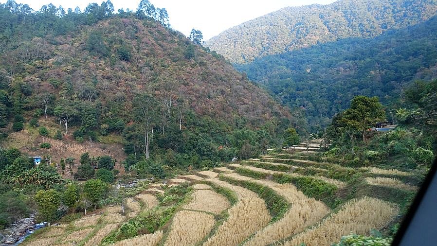 Terassenfelder bei Yong Khola auf dem Weg nach Mongar und Lhuentse. - Ost-Bhutan: Landschaft