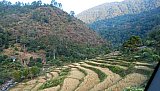 Terassenfelder bei Yong Khola auf dem Weg nach Mongar und Lhuentse. - Ost-Bhutan: Landschaft