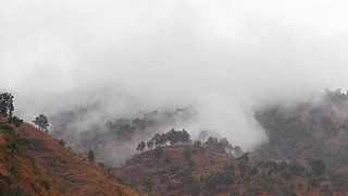 Nebelschwaden im Tal des Gemri Chhu Flusses - Ost-Bhutan: Landschaft