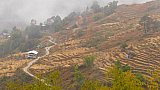 Terrassenfelder nahe der Ortschaft Radhi - Ost-Bhutan: Landschaft