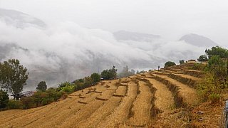Terrassenfelder im Tal des Gemri Chhu Flusses - Ost-Bhutan: Landschaft