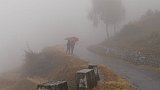 Nebellandschaft im oberen Tal des Gemri Chhu Flusses - Ost-Bhutan: Landschaft