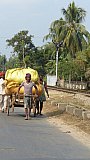 Streetlife mit vollbepacktem Handkarren - Streetlife in Indien