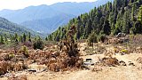 Landschaft in der N&auml;he des Dorfes Talung - Paro - Haa: Sage La Trekking