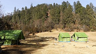 Camp unterhalb des Passes Sage La - Paro - Haa: Sage La Trekking