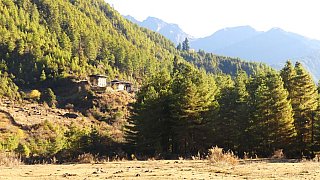 Landschaft beim Sage La-Pass - Paro - Haa: Sage La Trekking