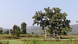 L&auml;ndliches Bhoramdeo in Chhattisgarh - Chhattisgarh: Landschaft
