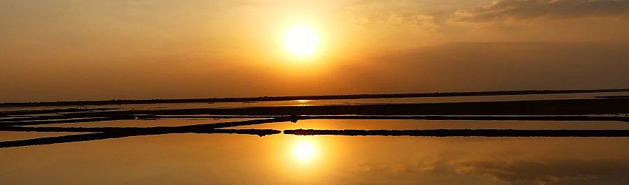 Sonnenuntergang &uuml;ber den Salzfeldern von Kutch - Gujarat - Flora und Fauna