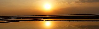 Sonnenuntergang &uuml;ber den Salzfeldern von Kutch - Gujarat - Flora und Fauna
