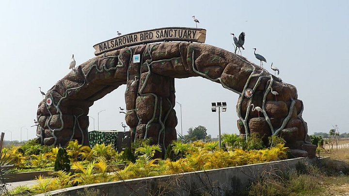 Vogelschutzgebiet Nal Sarovar See - Gujarat - Flora und Fauna