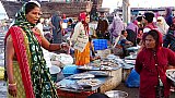 Fischmarkt in Vanakbbara - Gujarat - Land und Leute