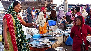 Fischmarkt in Vanakbbara - Gujarat - Land und Leute