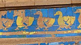 Enten-Fliesen-Relief im Mansing Palast - Madhya-Pradesh: Sehensw&uuml;rdigkeiten