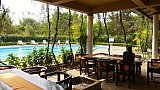 Swimmingpool in der Chitwan Jungle Lodge beim Kanha Nationalpark - Madhya-Pradesh: Essen & Schlafen