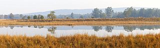 Seenlandschaft im Kanha Nationalpark - Madhya-Pradesh: Landschaft