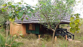 Veranda auf der Sonnenseite - Madhya-Pradesh: Essen & Schlafen