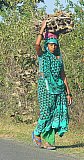Holzsammleriin am Stra&szlig;enrand in Indien - Streetlife in Indien