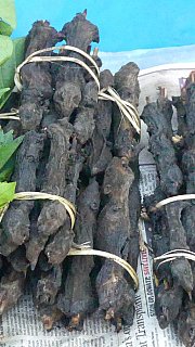 Ger&auml;ucherte Ratten auf dem Bazar in Along - Indien - Nordosten - Land und Leute