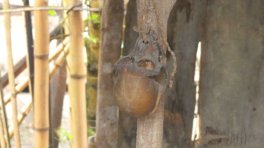 Affensch&auml;del im Geisterhaus in Ziro - Indien - Nordosten - Land und Leute
