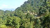 Abenteuerliche Piste durch den Bergurwald - Indien-Nordosten-Landschaft