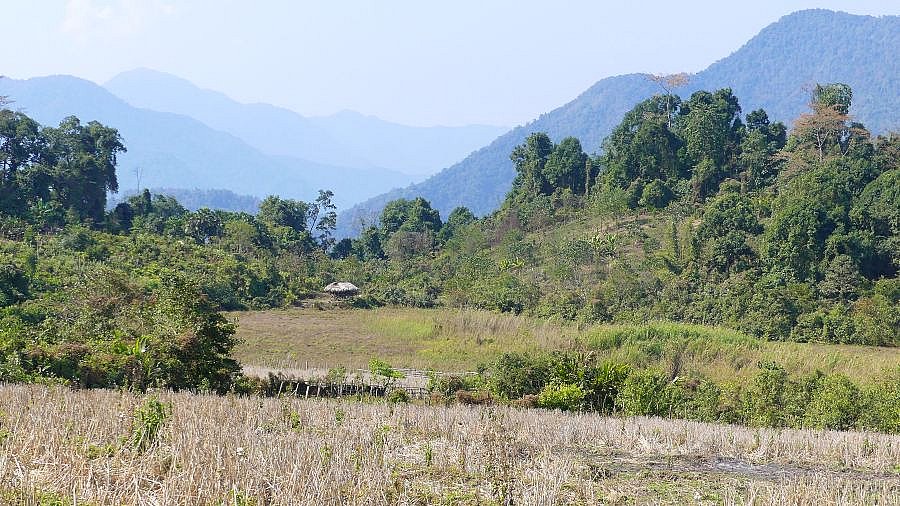 Hochebene zwischen Pasighat und Along - Indien-Nordosten-Landschaft