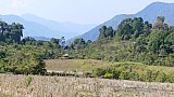 Hochebene zwischen Pasighat und Along - Indien-Nordosten-Landschaft