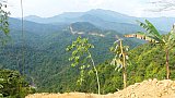 Waldlandschaft in Arunachal Pradesh - Indien-Nordosten-Landschaft