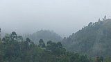 Nebelschwaden in Arunachal Pradesh - IND-Blog-Bilder