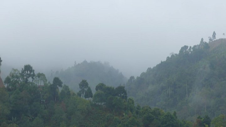 Nebelschwaden in Arunachal Pradesh - IND-Blog-Bilder