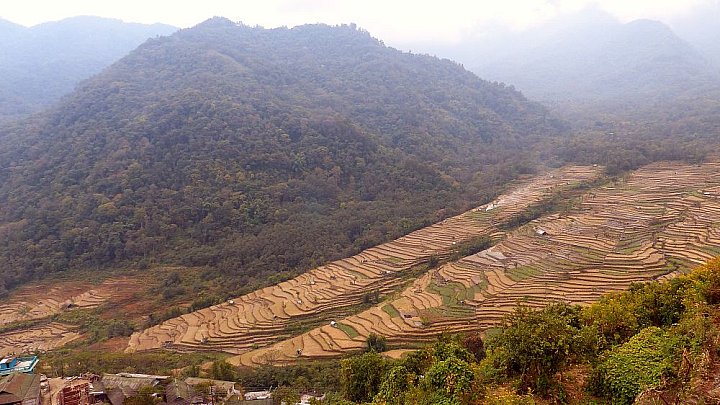Terrassenfelder in Arunachal Pradesh - Indien-Nordosten-Landschaft