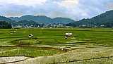 Liebliches Ziro-Tal in Arunachal Pradesh - Indien-Nordosten-Landschaft