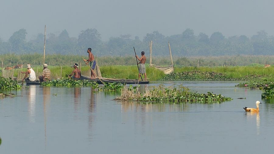 Feuchtgebiet Maguri Beel - Indien - Assam - Land und Leute