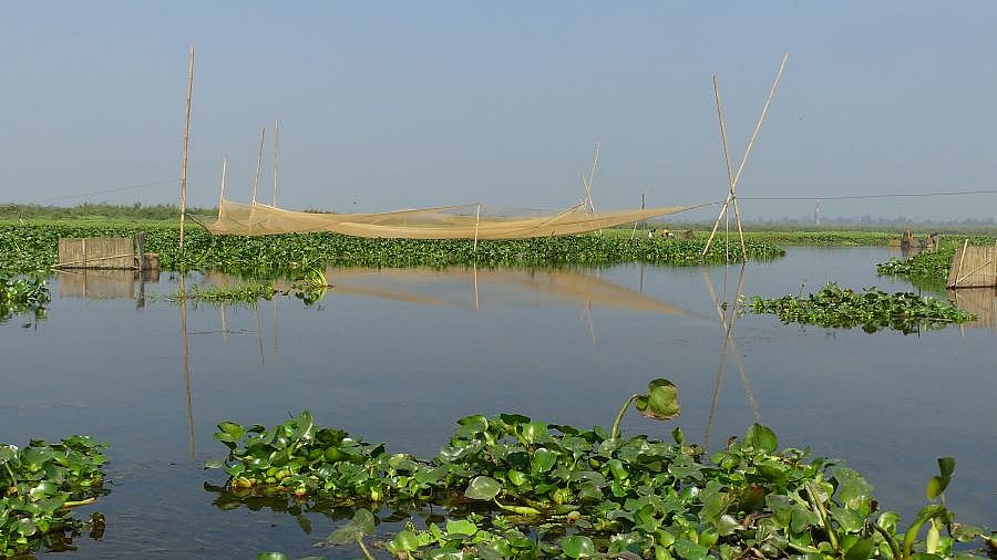 Fischerboote in Maguri Beel - Indien - Assam - Land und Leute